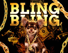 Bling Bling Boxer Briefs